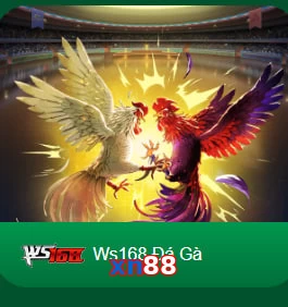 xn88